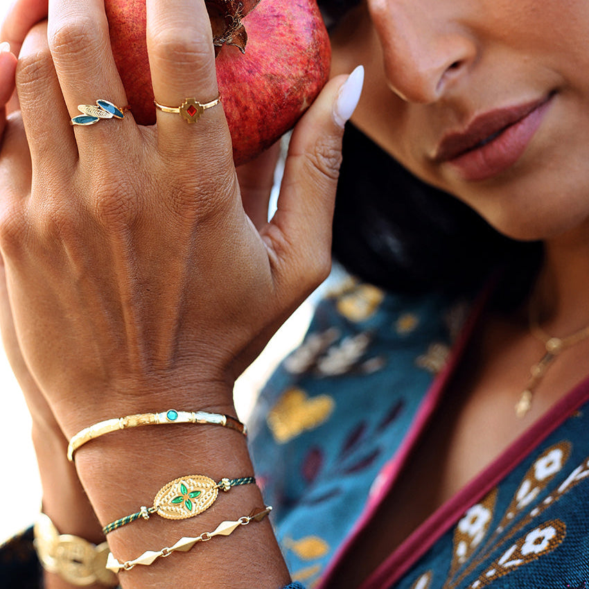 BAGUE ARA - AMAZONIA