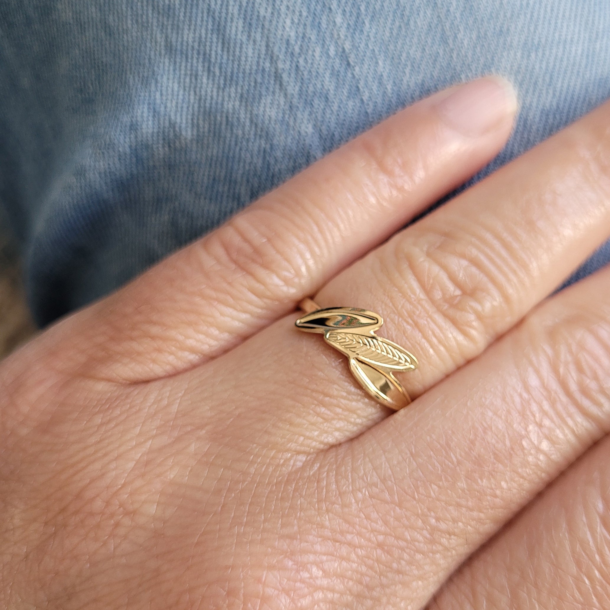 BAGUE ARA - AMAZONIA