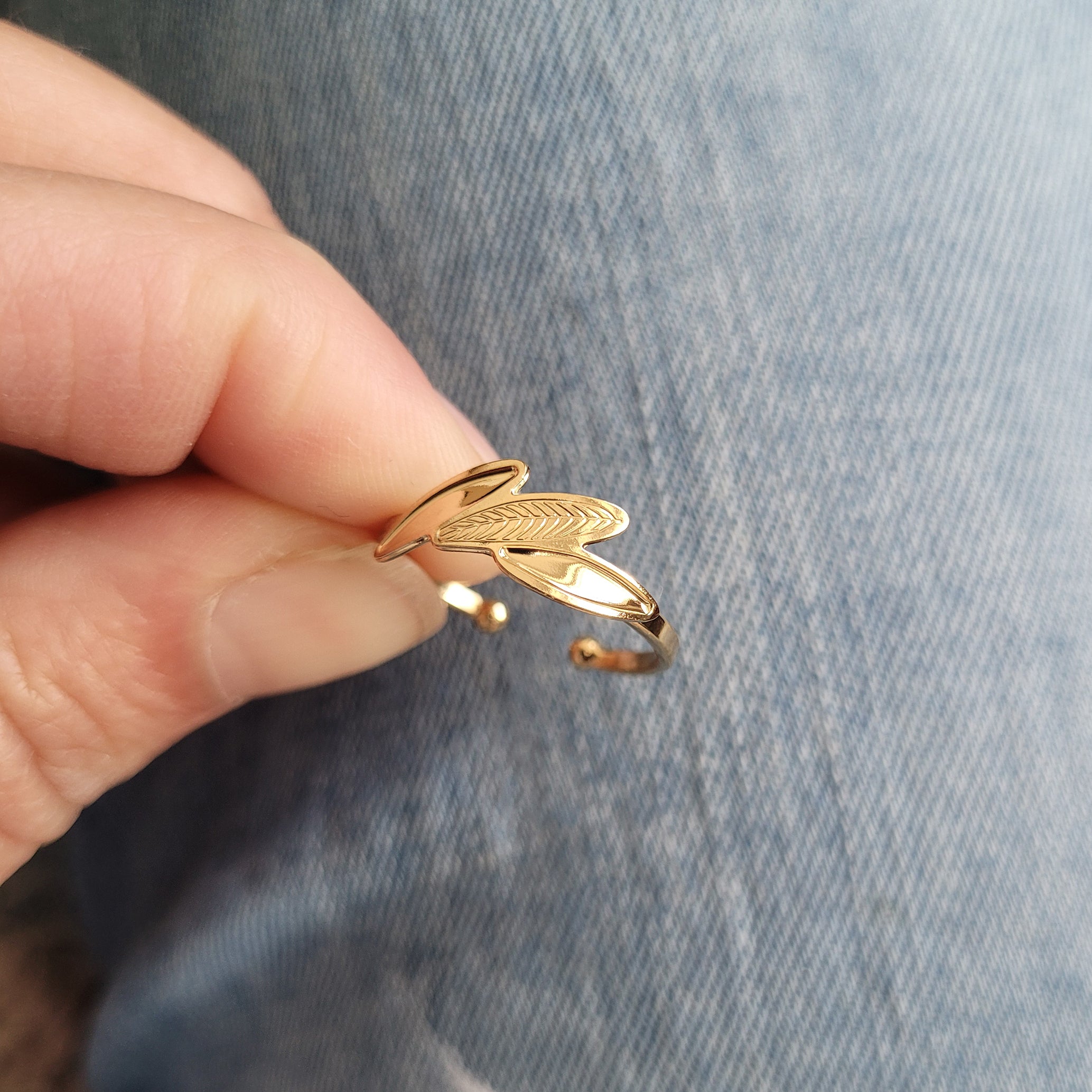 BAGUE ARA - AMAZONIA