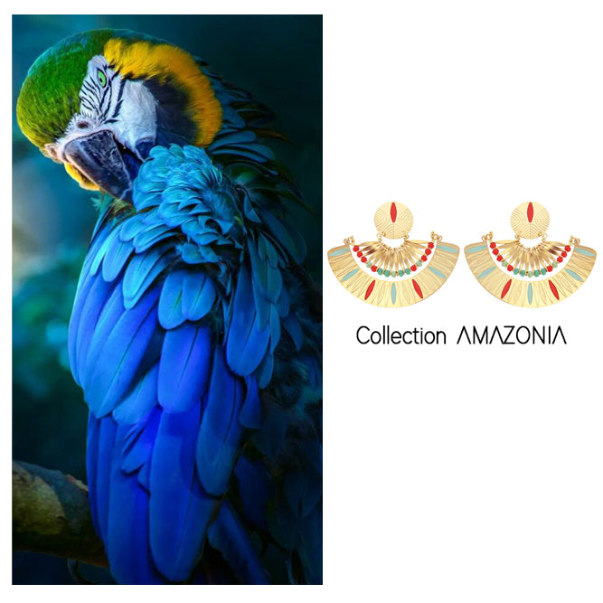 COLLECTION AMAZONIA