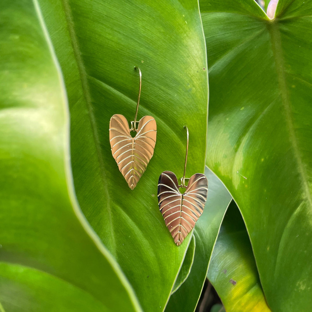 BOUCLES D'OREILLE PHILO-COEUR - TROPIQUES